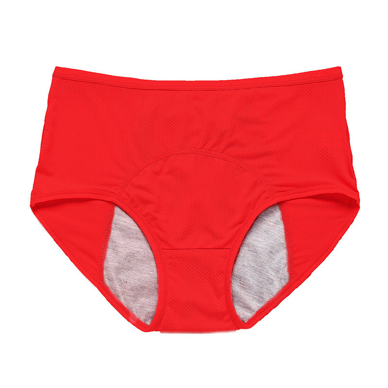 Period Leak Proof Panties -Nylon Briefs